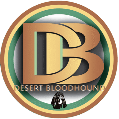Desert Bloodhound